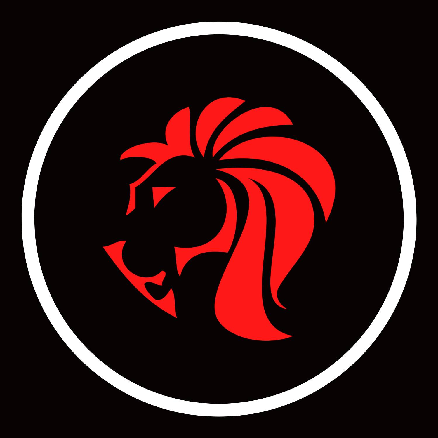​DNP Marketing Ltd